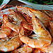 images/12.jpg