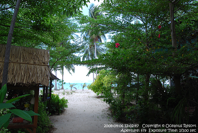 way to the beach